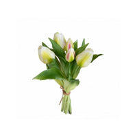 Mazzo di Tulipani Bianchi Freschi (5 Pezzi) - Vivai L'Idea Verde