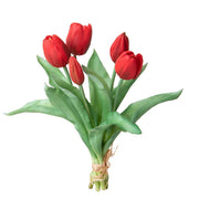 Mazzo di Tulipani Rossi Freschi (5 Pezzi) con Foglie - Vivai L'Idea Verde