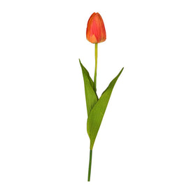 Mazzo di Tulipani Arancioni Freschi (Altezza 54 cm) - Vivai L'Idea Verde